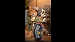 Bad Choices, Good Support | Futuro Knee Support | UGC by RocJane
